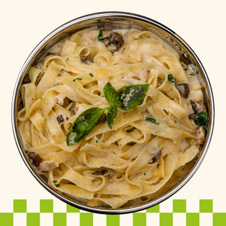 PATE  ALFREDO          