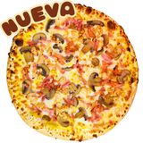 CHEDDAR GOLD F (nueva)