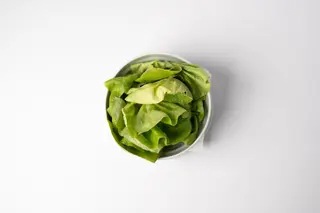 Zelena salata
