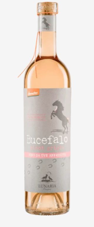 Sorridi, Pinot Grigio, Cantina Pinto di Orsogna (Ch)