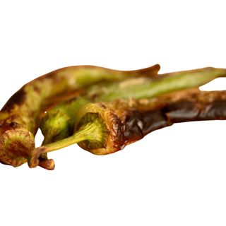 Կծու պղպեղ խորոված