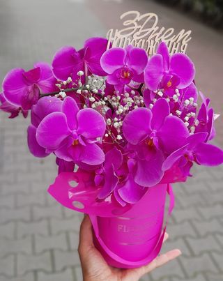 Flower box ze storczykami z gipsówki,rozmiar L