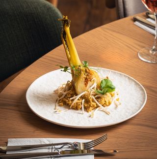 Фенел върху хумус