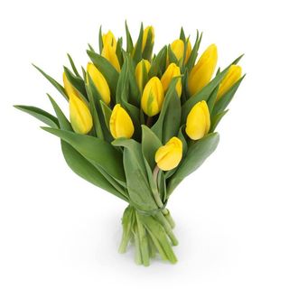 Żółte tulipany - 15 sztuk