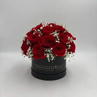 ESFERA DE AMOR 
