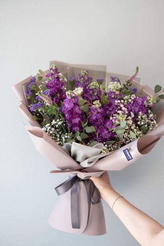 მატიოლა გიფსოფილა ევკალიპტი