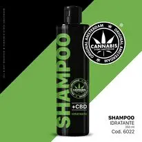 CBD Sampon