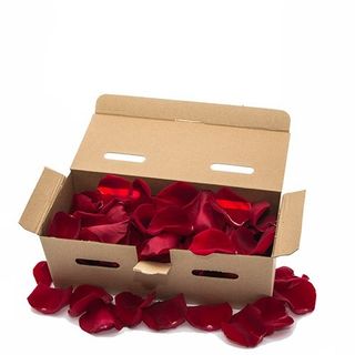 Pétalos de rosas natural(color variado)