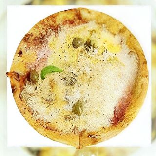 Pizza Capricciosa srednja