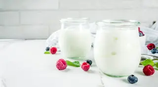 Jogurt 