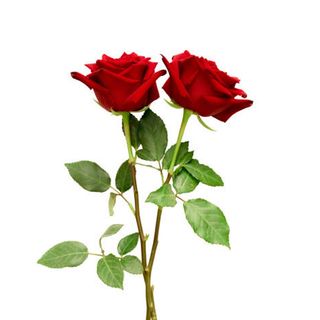 Coup de coeur avec emballage