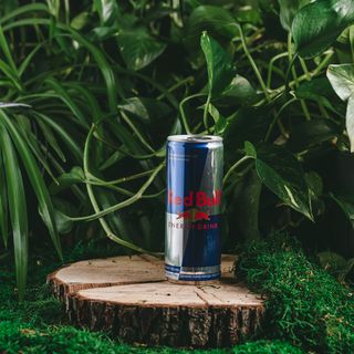 Red Bull (250 мл.)