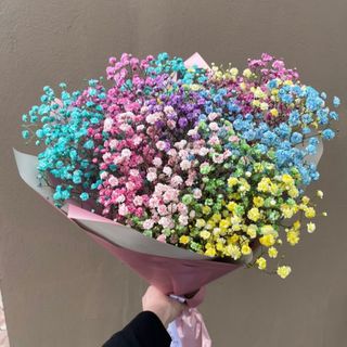 Bukiet kolorowej gipsówki