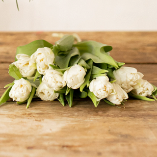 Ramo de tulipanes blancos. 8 tallos