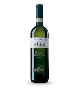 Vino verdicchio