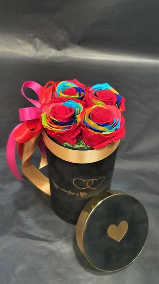 Šarene dugotrajne ruže fb