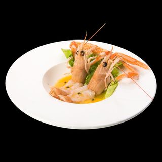 8 PASSION SCAMPI 2pz