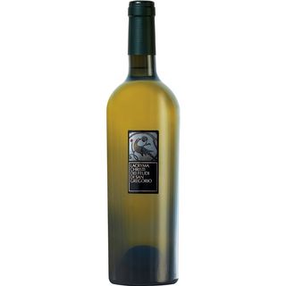 Falanghina D.O.C.G. Feudi San Gregorio