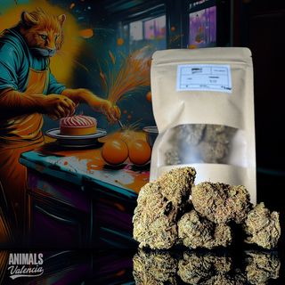 Tangerina GreenHouse CBD 2Gr