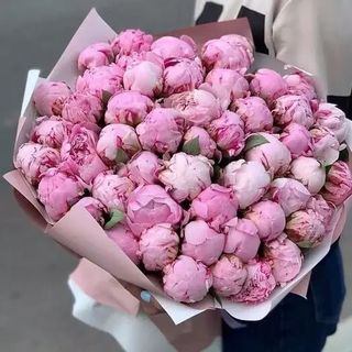 Buchet din 51 bujori roz
