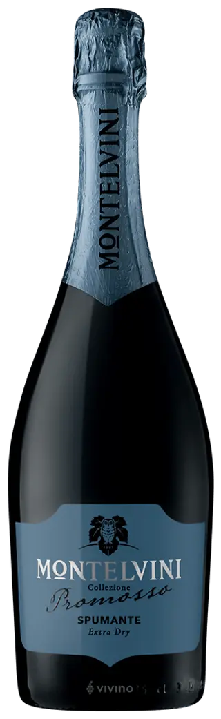Prosecco Extra Dry - Montelvini