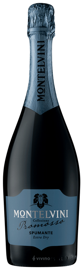 Prosecco Extra Dry - Montelvini