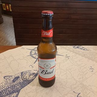 Bud Lager Beer 33CL.