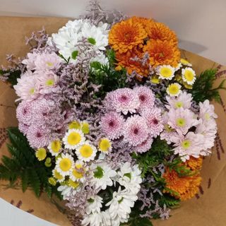 Ramo de 10 margaritas variadas de colores 