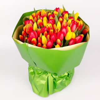 Tulipan kolorowy (100szt)