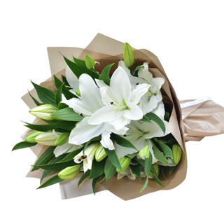 White Lily Radiance + 2 Free White Caburry