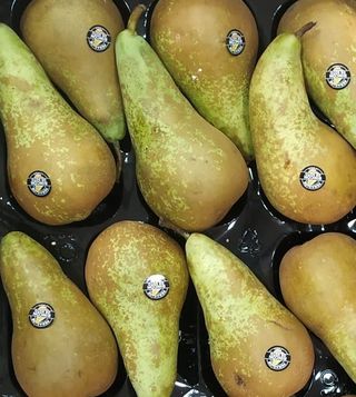 Pera Conferencia Rincón Soto 2 Unidades