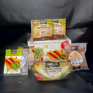 Huerto PIMIENTOS PICANTES 