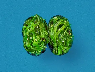 ჰიაში გუნკანი (1ც)