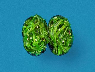 ჰიაში გუნკანი (1ც)