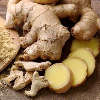 Gingembre 
