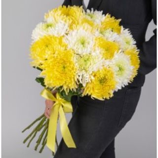 Crizantema alb-galben