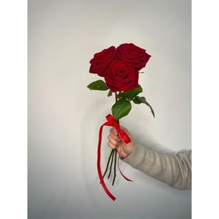 Czerwona róża 60 cm, 3 szt