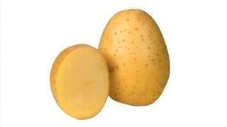 Krumpir Mladi Bijeli 1kg