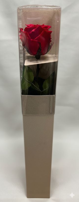 Rosa Preservada (Tamanho Grande)