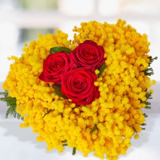Cuore di mimosa con rose rosse al centro