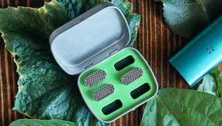 Bud Case Bundle para PAX