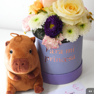 Pack: Capibara lover