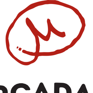 Chiena fritta anni '90