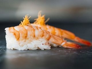 Nigiri Ebi