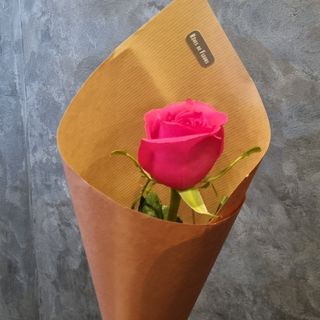 Rose Fushia individuelle