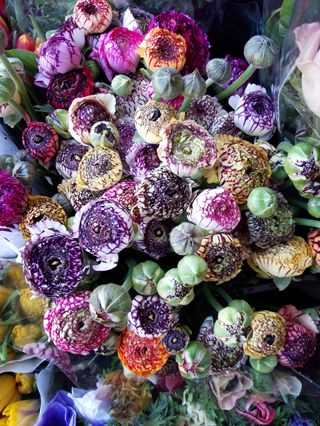 Ranocoli mixto bouquet 