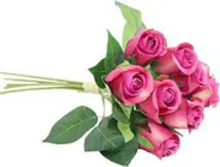 9 Rose rosa