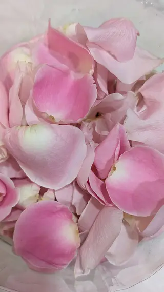 100 Pétalos Rosas