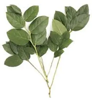 Verdeata si ambalaj