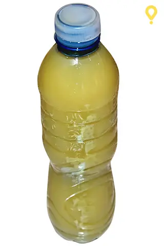 Gingembre